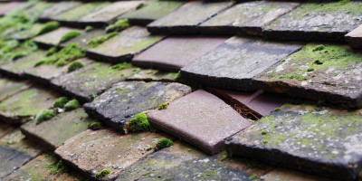 Bodmin roof repair costs